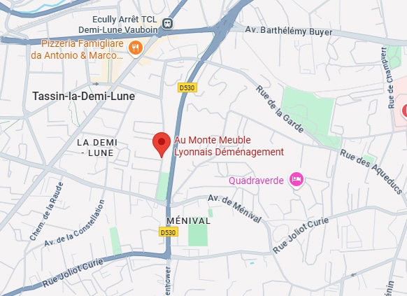 Carte de Tassin-la-Demi-Lune et Ménival, Lyon, affichant le point rouge "Au Monte Meuble Lyonnais Déménagement" sur la D530.